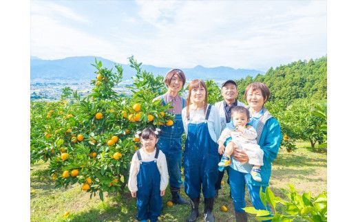 ＜品種厳選＞こだわりの貯蔵みかん　10キロ＜2025年12月20日出荷開始～2026年2月28日出荷終了＞【 みかん 神奈川県 小田原市 】 142069_HC004