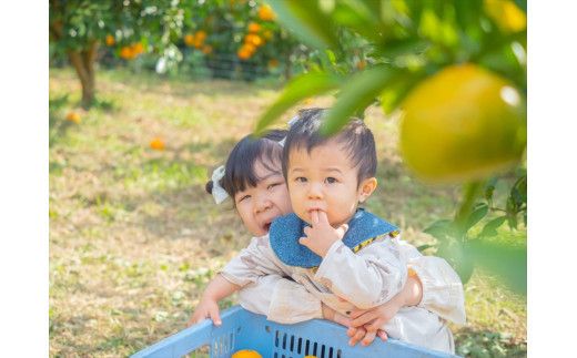 ＜品種厳選＞こだわりの貯蔵みかん　10キロ＜2025年12月20日出荷開始～2026年2月28日出荷終了＞【 みかん 神奈川県 小田原市 】 142069_HC004