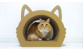 ねこの爪とぎ　みみCT　カラー；ホワイト【 ペット用品 爪とぎ 神奈川県 小田原市 】 142069_HL001VC01