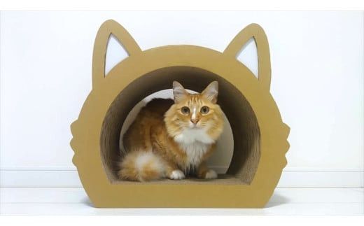 ねこの爪とぎ　みみCT＋かおCT セット　カラー；クラフト【 ペット用品 爪とぎ 神奈川県 小田原市 】 142069_HL004VC02