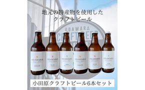 おまかせクラフトビール6本セット　クラフトビール・地ビール【 ビール お酒 神奈川県 小田原市 】 142069_HP002
