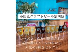 季節限定　小田原クラフトビール3種　【定期便：3カ月に1回 計4回お届け】   クラフトビール・地ビール【 ビール お酒 神奈川県 小田原市 】 142069_HP003