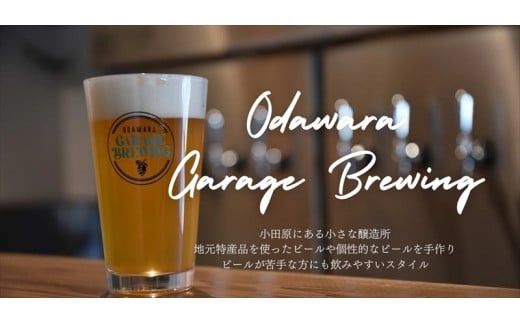 季節限定　小田原クラフトビール3種×各2本　【定期便：3カ月に1回 計4回お届け】   クラフトビール・地ビール【 ビール お酒 神奈川県 小田原市 】 142069_HP004