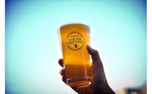 季節限定　小田原クラフトビール3種×各2本　【定期便：3カ月に1回 計4回お届け】   クラフトビール・地ビール【 ビール お酒 神奈川県 小田原市 】 142069_HP004