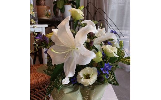 【定期便６ヵ月】月命日生花アレンジ　Sサイズ　６ヵ月連続でお届け【 神奈川県 小田原市 】 142069_HQ011