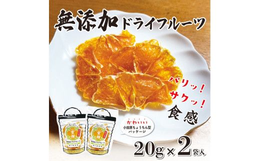 y_ސ쌧cszYhCt[c(݂)20g×2ܓy _ސ쌧cs z 142069_HU001