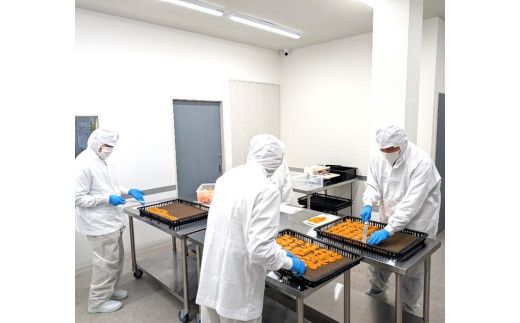 無添加ドライフルーツ(みかん)20g×2袋入【 神奈川県小田原市 】 142069_HU001