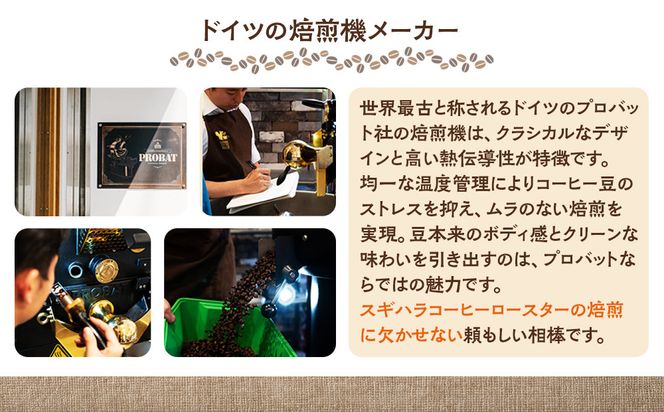 【コーヒー豆定期便】珈琲豆 200g×2銘柄 6ヶ月（中挽き） 272230_BD013