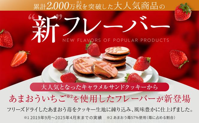 【期間限定11月から発送】◆ギフト包装対応◆ザ・スウィーツ 苺キャラメルサンドクッキー(5個)［ シャディ スイーツブランド THE SWEETS キャラメルサンドクッキー ストロベリー 人気 おすすめ いちご 苺 クッキー スイーツ お菓子 チョコ ギフト プレゼント お取り寄せ 送料無料 ふるさと納税 ］ 261009_SHDYAS038