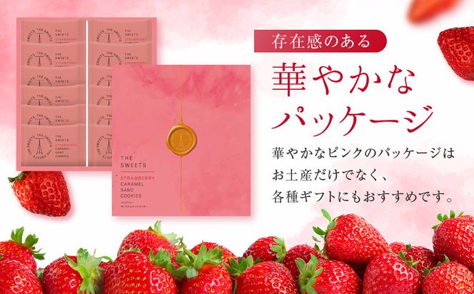 【期間限定11月から発送】◆ギフト包装対応◆ザ・スウィーツ 苺キャラメルサンドクッキー(12個)［ シャディ スイーツブランド THE SWEETS キャラメルサンドクッキー ストロベリー 人気 おすすめ いちご 苺 クッキー スイーツ お菓子 チョコ ギフト プレゼント お取り寄せ 送料無料 ふるさと納税 ］ 261009_SHDYAS040