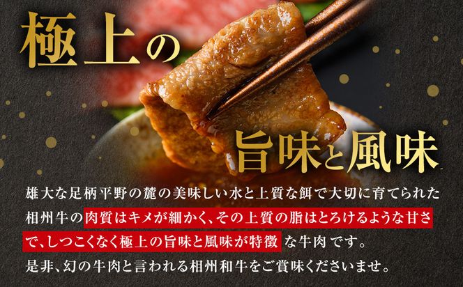 【牛肉 定期便 12回】 幻の相州黒毛和牛肩肉 1.2kg×12回 計14.4kg【相州黒毛和牛 相州牛 幻の牛肉 極上の旨味と風味 キメ細かな上質の脂 様々な料理に ブランド牛 ブランド牛肉 神奈川県 小田原市 】 142069_BL041