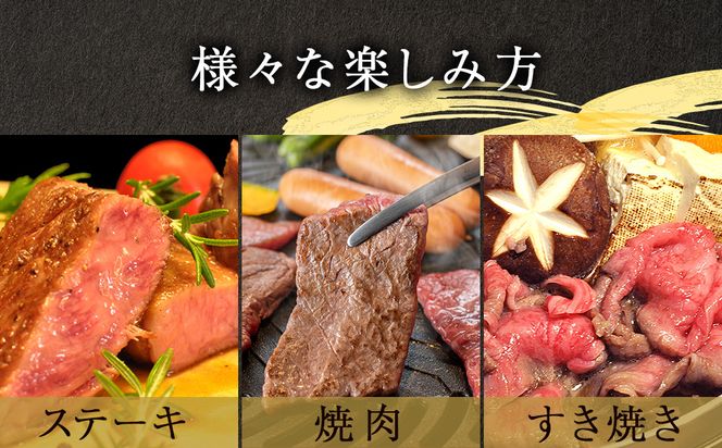 【牛肉 定期便 12回】 幻の相州黒毛和牛肩肉 1.2kg×12回 計14.4kg【相州黒毛和牛 相州牛 幻の牛肉 極上の旨味と風味 キメ細かな上質の脂 様々な料理に ブランド牛 ブランド牛肉 神奈川県 小田原市 】 142069_BL041