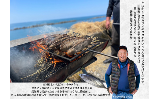 【四国一小さなまち】 ★カネアリ水産★ 幻の塩たたき ～ わら焼きカツオのたたき２節 × 田野屋塩二郎の塩２袋 ～