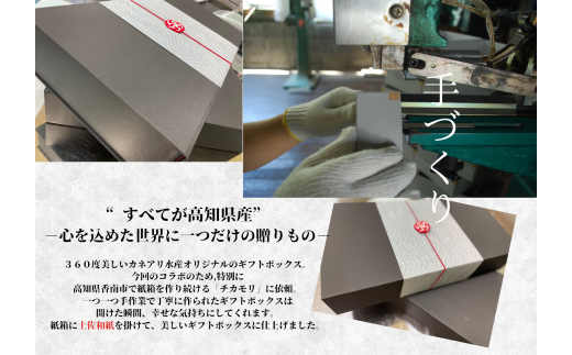 【四国一小さなまち】 ★カネアリ水産★ 幻の塩たたき ～ わら焼きカツオのたたき２節 × 田野屋塩二郎の塩２袋 ～