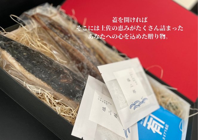 2個セット 田野屋塩二郎 100g×2 幻の塩（四国一小さなまち】田野
