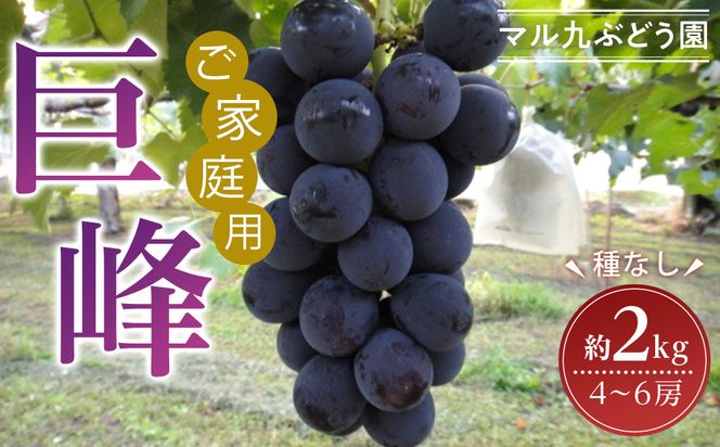 ym{szy2026Nx_s\zyƒpziȂj2kgk2026N8{菇l 232238_CR04-PR