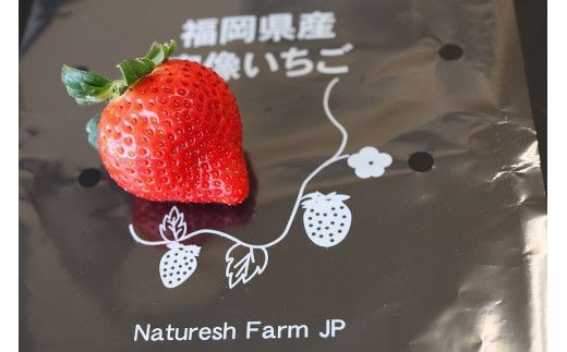 【先行予約】【2025年12月中旬より順次発送】福岡県産　あまおう　2パックセット【ナチュレッシュ・ファーム・ジェイピー】_HA1336