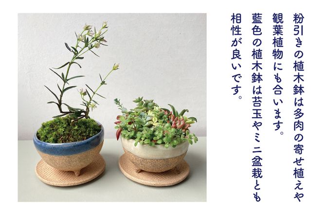 BU001　益子焼　植木鉢セット(植木鉢とトレーのセット)☓2セット　多肉植物　寄せ植え　苔玉、ミニ盆栽に