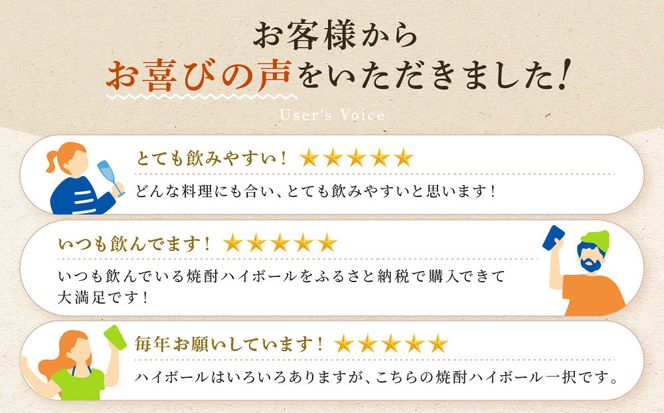 【タカラ】焼酎ハイボール＜ドライ＞ 12本×500ml (チューハイ 酎ハイ サワー ハイボール)［ 京都 宝酒造 焼酎 ハイボール キレ味爽快 人気 おすすめ 酎ハイ サワー お酒 晩酌 お取り寄せ 通販 送料無料 ふるさと納税 ］ 261009_A-VS010