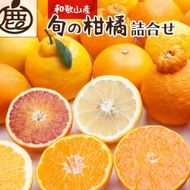 ［先行予約］厳選 柑橘詰合せ5kg+250g（傷み補償分）［有田の春みかん詰め合わせ・フルーツ詰め合せ・オレンジつめあわせ］［光センサー選別］［IKE85］ 303446_BB90025