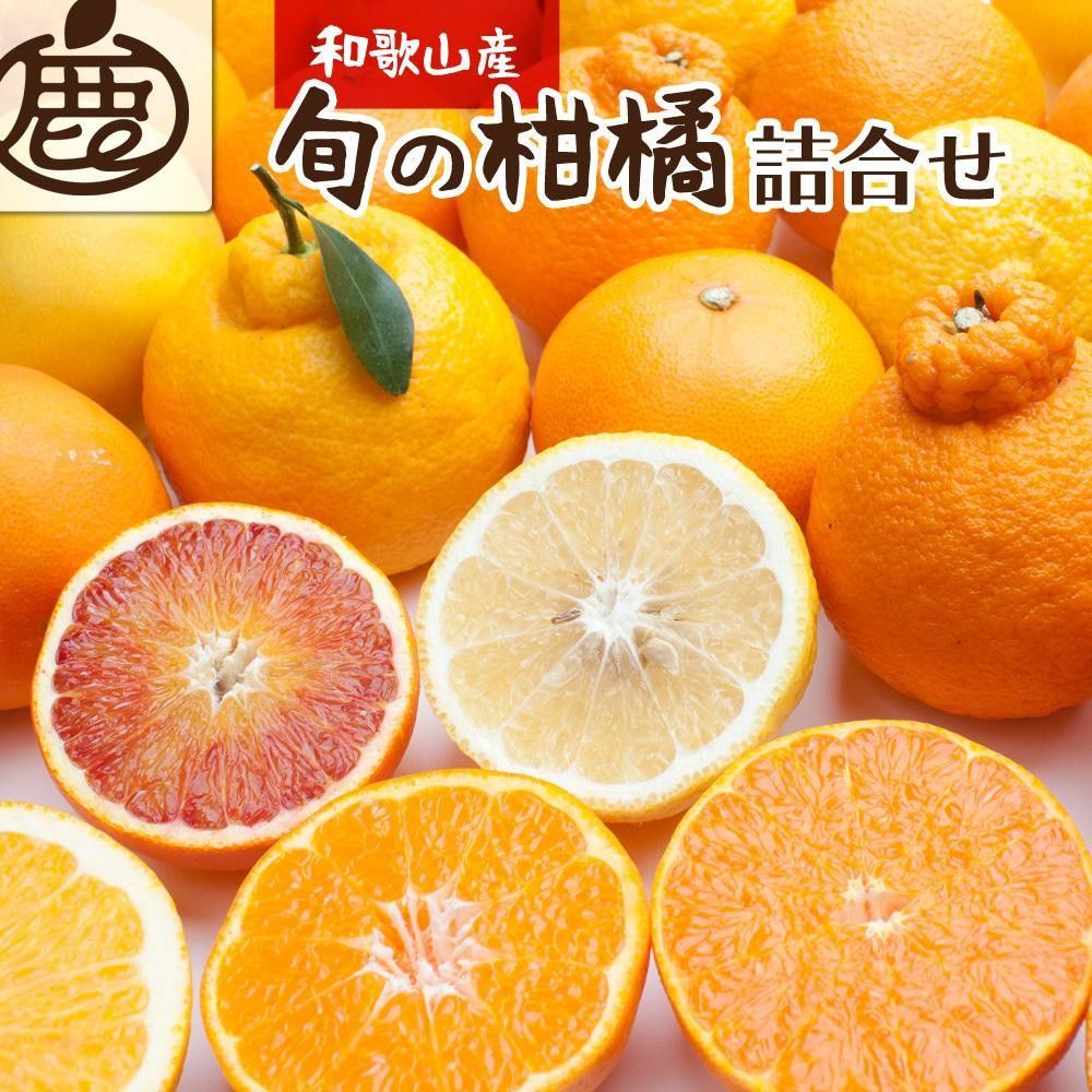 [先行予約]厳選 柑橘詰合せ1kg+250g(傷み補償分)[有田の春みかん詰め合わせ・フルーツ詰め合せ・オレンジつめあわせ][光センサー選別][IKE157] 303446_BB90027