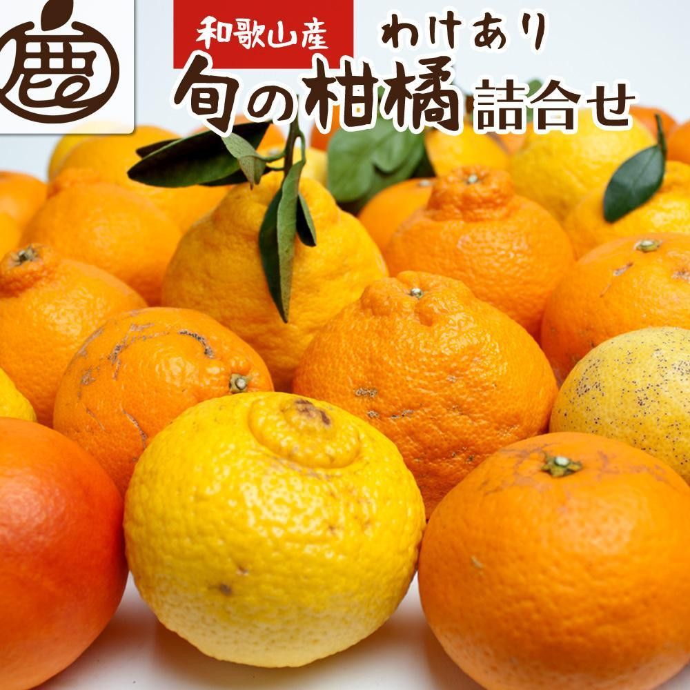 [先行予約]家庭用 柑橘詰合せ1kg+250g(傷み補償分)[訳あり・わけあり][有田の春みかん詰め合わせ・フルーツ詰め合せ・オレンジつめあわせ][光センサー選別][IKE156] 303446_BB90030