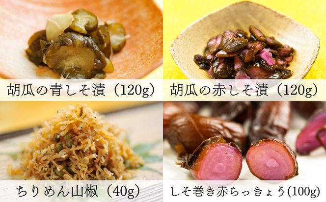 【辻しば漬本舗】大原のしば漬・京漬物・ちりめん山椒詰合せ（10種） [ 京都 大原 食べ比べ 自社栽培 老舗 赤しそ 壬生菜 すぐき きゅうり ちりめん らっきょう 沢庵 ふりかけ 人気 おすすめ お取り寄せ 通販 送料無料 ふるさと納税 ] 261009_B-BN02