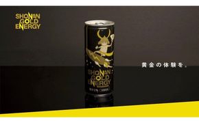 【定期便6ヵ月】湘南ゴールドエナジー半年分 毎月30本お届け【湘南ゴールドエナジー 湘南ゴールド エナジードリンク　炭酸飲料 毎月お届け 1ケース30本 小田原で好評 小田原の名産品使用 神奈川県 小田原市 】 142069_BV004