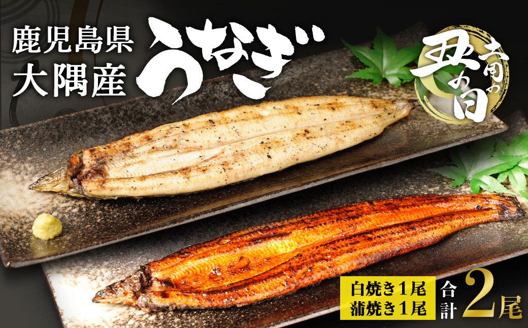 [土用丑の日]鹿児島県大隅産 千歳鰻の白焼1尾・蒲焼き1尾 合計2尾セット(1尾110g〜130g) 464686_CH202G
