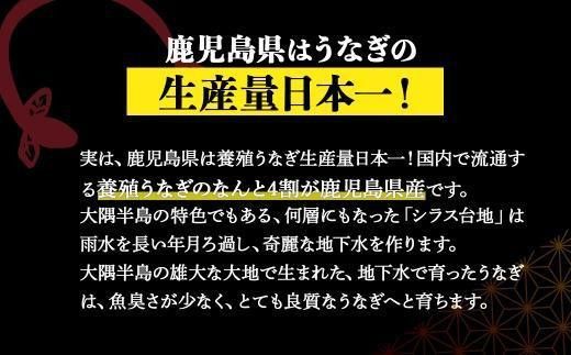 【土用丑の日】鹿児島県大隅産　千歳鰻の白焼1尾・蒲焼き1尾　合計2尾セット（1尾110g～130g） 464686_CH202G