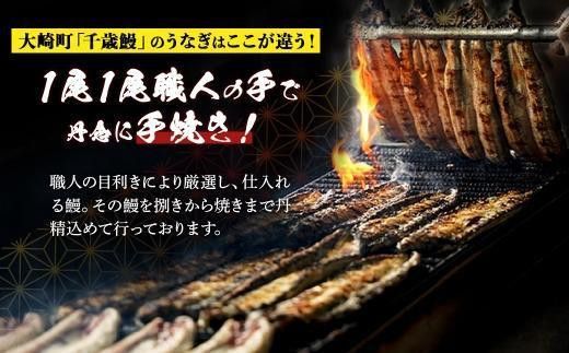 【土用丑の日】鹿児島県大隅産　千歳鰻の白焼1尾・蒲焼き1尾　合計2尾セット（1尾110g～130g） 464686_CH202G