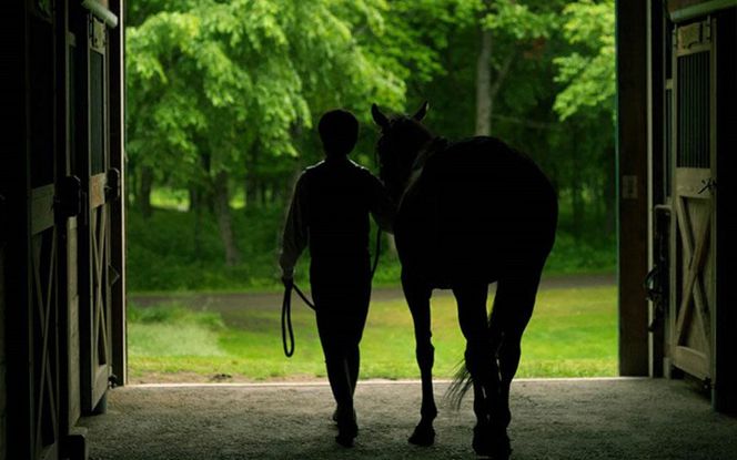 【ヘイゼルグラウスマナー】60分乗馬体験チケット1名様分（リバーサイドコース）｜チケット 体験 乗馬 乗馬体験 北海道 標茶町 ヘイゼルグラウス 自然 アウトドア スポーツ レジャー リラックス アクティビティ  016641_AA001