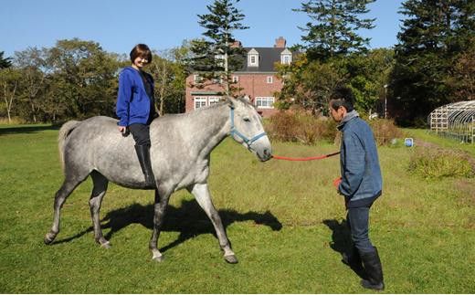 【ヘイゼルグラウスマナー】60分乗馬体験チケット1名様分（リバーサイドコース）｜チケット 体験 乗馬 乗馬体験 北海道 標茶町 ヘイゼルグラウス 自然 アウトドア スポーツ レジャー リラックス アクティビティ  016641_AA001