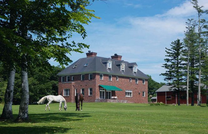 【ヘイゼルグラウスマナー】60分乗馬体験チケット1名様分（リバーサイドコース）｜チケット 体験 乗馬 乗馬体験 北海道 標茶町 ヘイゼルグラウス 自然 アウトドア スポーツ レジャー リラックス アクティビティ  016641_AA001