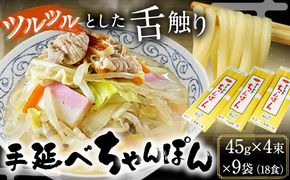 手延べちゃんぽん 45g×4束×9袋 18食 麺工房さかもと《30日以内に発送予定(土日祝除く)》岡山県 浅口市 送料無料---124_239_30d_23_13000_18---