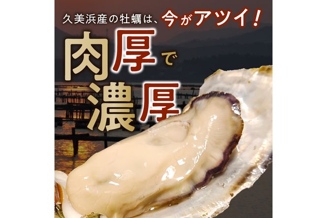 朝採れ、鮮度抜群！濃厚！肉厚！久美浜湾直送　殻付き牡蠣3kg(25～30個) YK00111