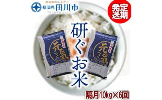 【定期便/隔月】 福岡県産元気つくし 10kg×6回 お取り寄せグルメ　お取り寄せ 福岡 お土産 九州 ご当地グルメ 福岡土産 取り寄せ グルメ 福岡県 食品