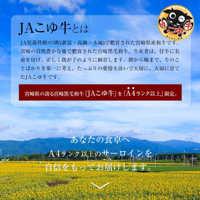 ＜JAこゆ牛A4～サーロインステーキ 250g程度×3枚＞翌月末迄に順次出荷【c149_ja_x1】