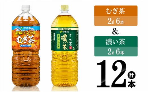 伊藤園 むぎ茶(2L)&濃い茶(2L)(PET)12本 [伊藤園 飲料類 お茶 麦茶 濃い茶 緑茶 PET セット 詰め合わせ 飲みもの] [D07369]