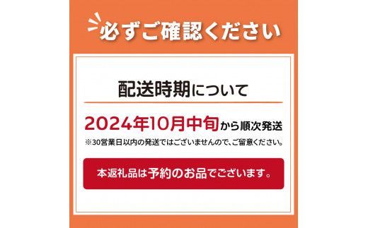 ☆L玉隔月定期便(10月・12月・2月)☆JAきたみらいから直送する新鮮玉ねぎ 10kg(L玉)×3回 ( 野菜 定期便 玉葱 たまねぎ 期間限定 )【999-0147-2025】