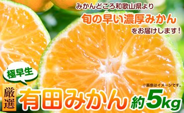 ＜先行予約＞厳選　極早生有田みかん5kg+150g（傷み補償分）【YN26・ゆら早生】池田鹿蔵農園@日高町（池田農園株式会社）《9月中旬-11月中旬頃出荷》和歌山県 日高町 ---wsh_idn46_9c11c_24_12000_5kg---