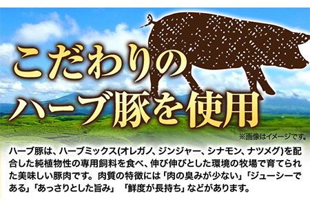 DLG7連続金賞受賞！『阿蘇の逸品』詰め合わせ《30日以内に出荷予定(土日祝除く)》物産館自然庵 ソーセージ ウィンナー ベーコン フランクフルト 肉 豚 送料無料---sms_csizntume_30d_26_16500_4t---