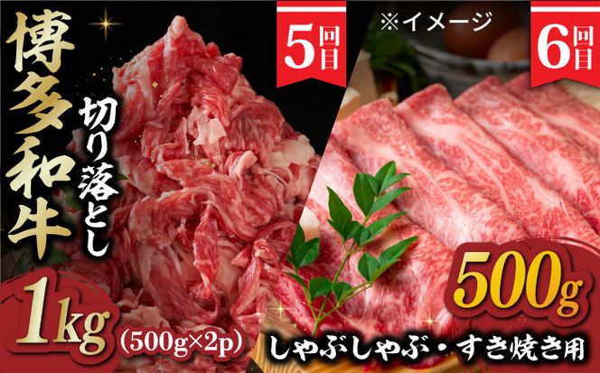 【6回定期便】肉づくし定期便 《築上町》【株式会社MEAT PLUS】[ABBP116]