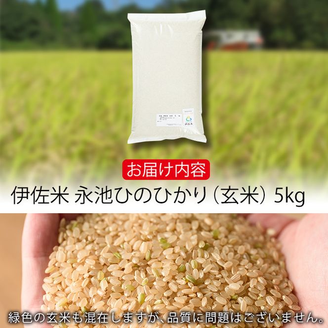isa400 令和7年産 特別栽培米 永池ひのひかり玄米(5kg) 鹿児島 永池 お米 米 玄米 伊佐米 九州米サミット 食味コンテスト 最優秀賞受賞 ヒノヒカリ 【エコファーム永池】