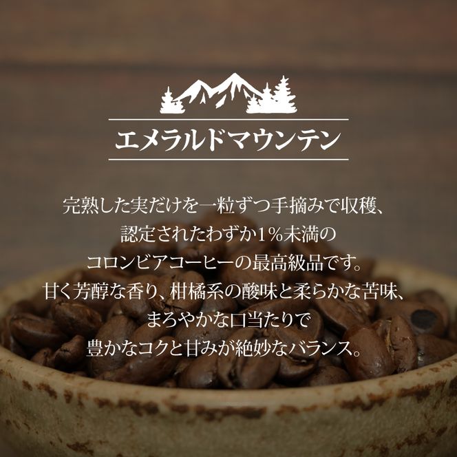コーヒー豆 400g ブルーマウンテン エメラルドマウンテン 各200gセット コーヒー 高級 美味しい 鮮度 新鮮 自家焙煎 珈琲 藤枝市 静岡県