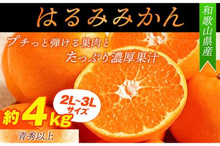 青秀以上 紀州有田産 はるみ 約4kg(2L〜3Lサイズおまかせ) 厳選館 [2025年1月下旬-3月上旬頃出荷]和歌山県 日高川町 フルーツ 果物 はるみ---iwshg_tmt117_l13_24_16000_4kg---