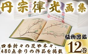 丹宗律光画集(全12巻)美術品 丹宗律光 画集 絵画 図鑑 古書 書籍【生涯学習課】akn012-02
