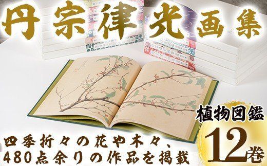 丹宗律光画集(全12巻)美術品 丹宗律光 画集 絵画 図鑑 古書 書籍【生涯学習課】a-36-11