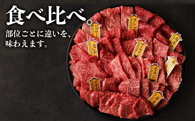 【国産黒毛和牛】焼肉食べ比べ 9種盛 各種80g_AE-E902