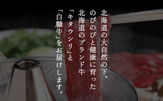 【12/21までのご入金で年内発送】【田村精肉店】北海道産ブランド牛の赤身2kg(スライス1600g・切り落とし400g)【配送不可地域：離島】 BHRJ020